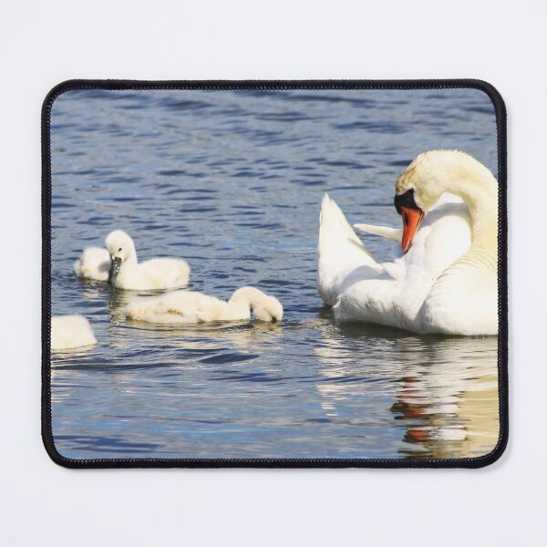 Item preview, Mute Swans designed and sold by Alyce Taylor.