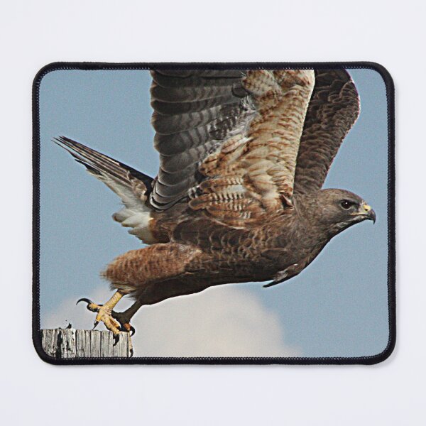 Item preview, Taking Flight designed and sold by Alyce Taylor.