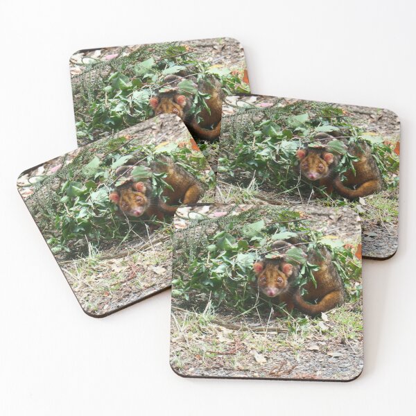 Item preview, Possum 1 designed and sold by Diana Grunwald.
