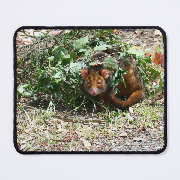 Item preview, Possum 1 designed and sold by Diana Grunwald.