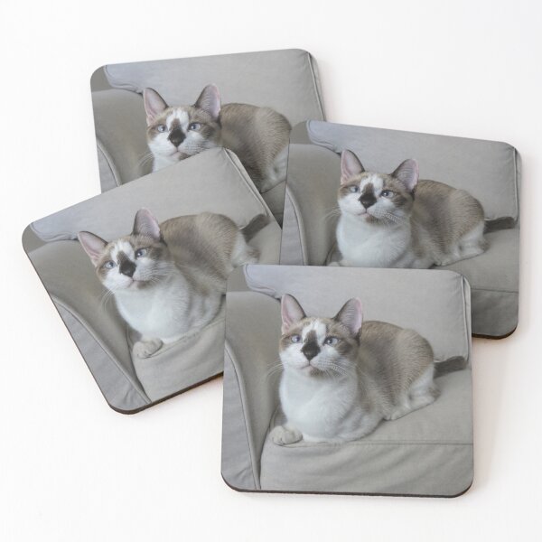 Item preview, Baby Snowshoe Cat on Sofa designed and sold by Elisabeth Lucas.