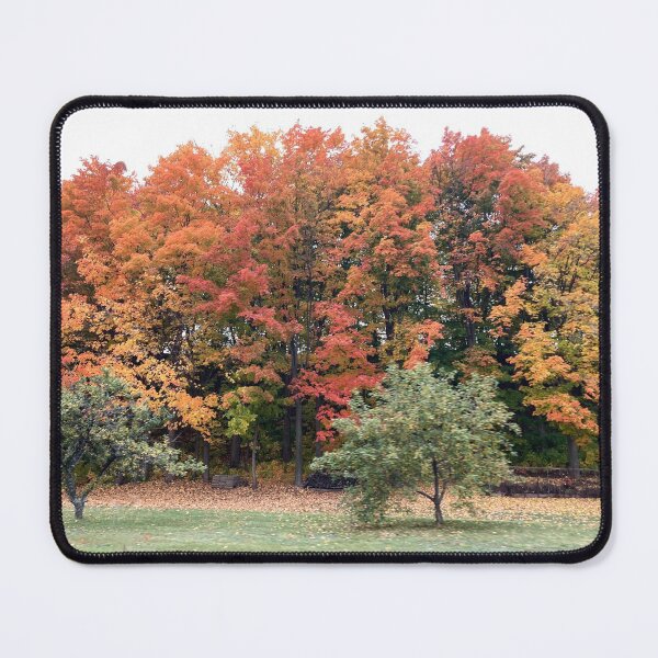 Item preview, Autumn landscape in Quebec | Canada fall landscape designed and sold by NathBros.