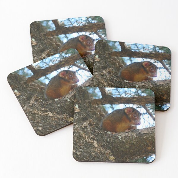 Item preview, Possum 2 designed and sold by Diana Grunwald.