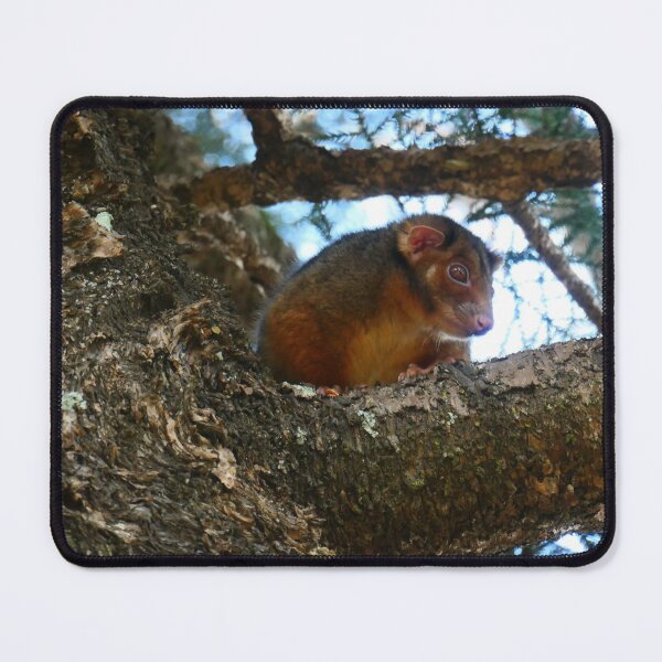 Item preview, Possum 2 designed and sold by Diana Grunwald.