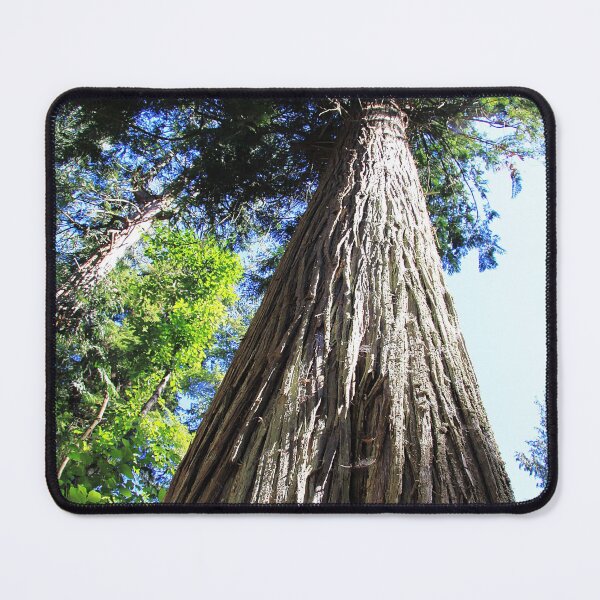 Item preview, Douglas Fir designed and sold by Alyce Taylor.