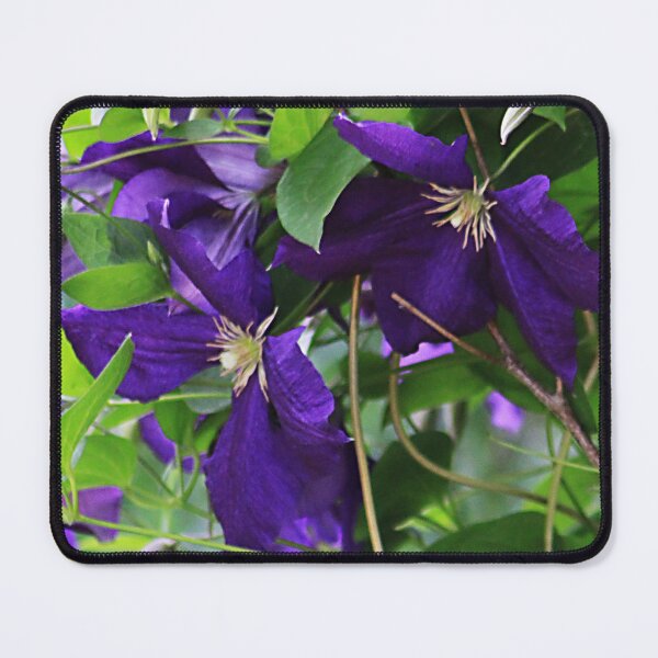 Item preview, Deep Purple designed and sold by Alyce Taylor.