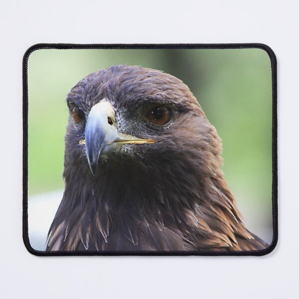 Item preview, Golden Eagle designed and sold by Alyce Taylor.