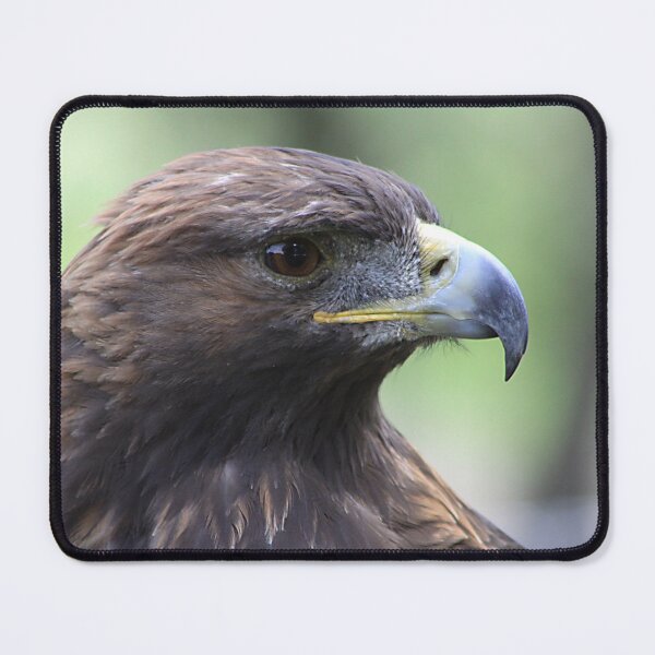 Item preview, Golden Eagle designed and sold by Alyce Taylor.