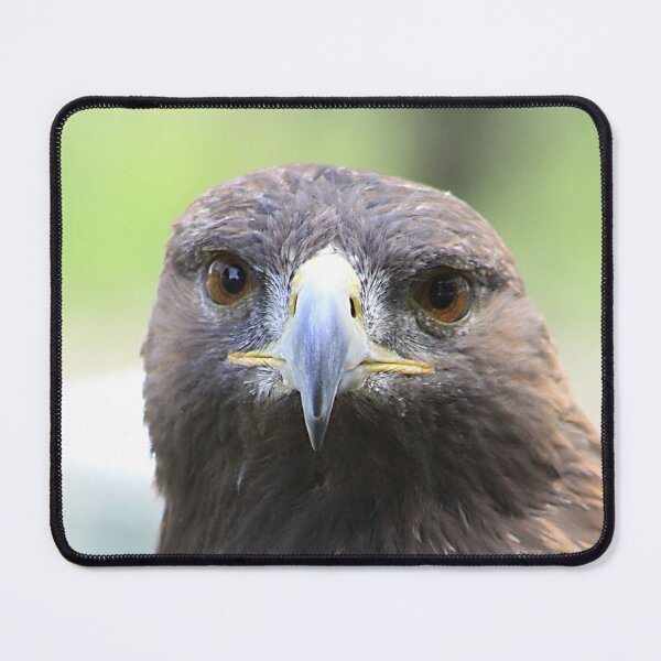 Item preview, Golden Eagle designed and sold by Alyce Taylor.