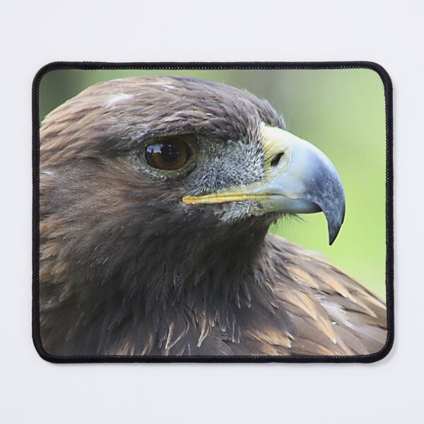 Item preview, Golden Eagle designed and sold by Alyce Taylor.