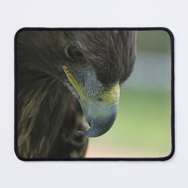 Item preview, Golden Eagle designed and sold by Alyce Taylor.