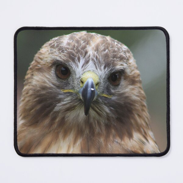 Item preview, Red-Tailed Hawk designed and sold by Alyce Taylor.