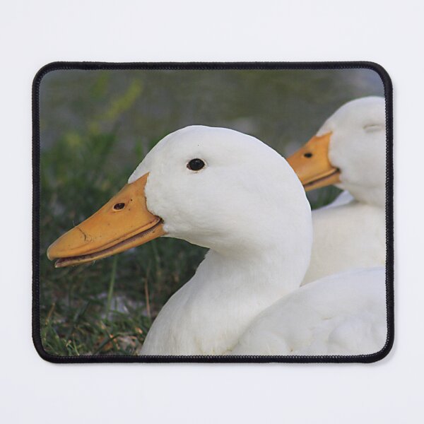 Item preview, Pekin Ducks designed and sold by Alyce Taylor.