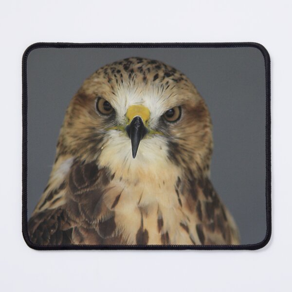 Item preview, Swainsons Hawk designed and sold by Alyce Taylor.