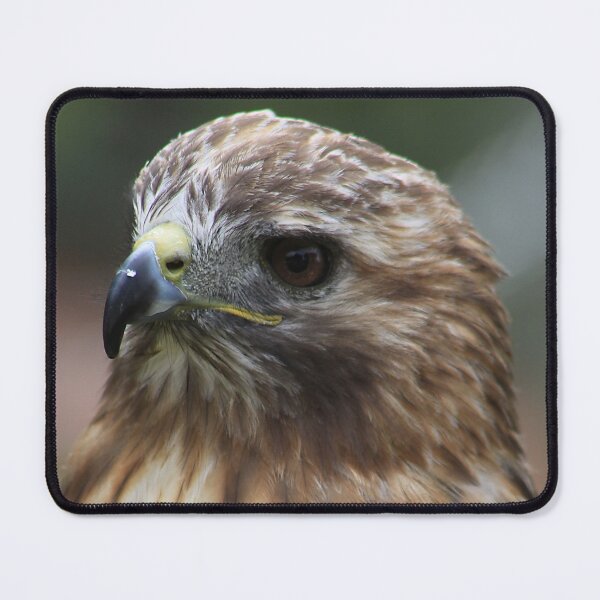 Item preview, Red-Tailed Hawk designed and sold by Alyce Taylor.