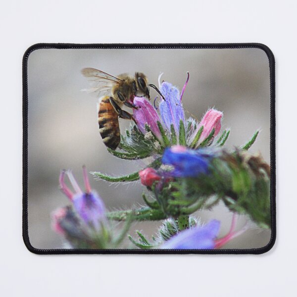 Item preview, Sweet Nectar designed and sold by Alyce Taylor.