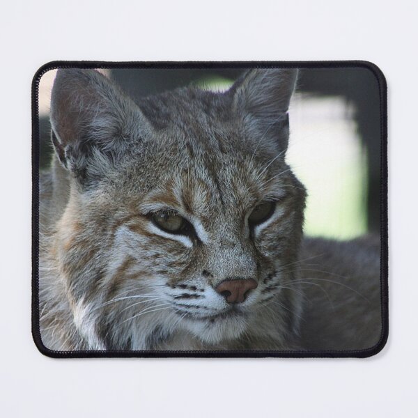 Item preview, Nice Kitty designed and sold by Alyce Taylor.
