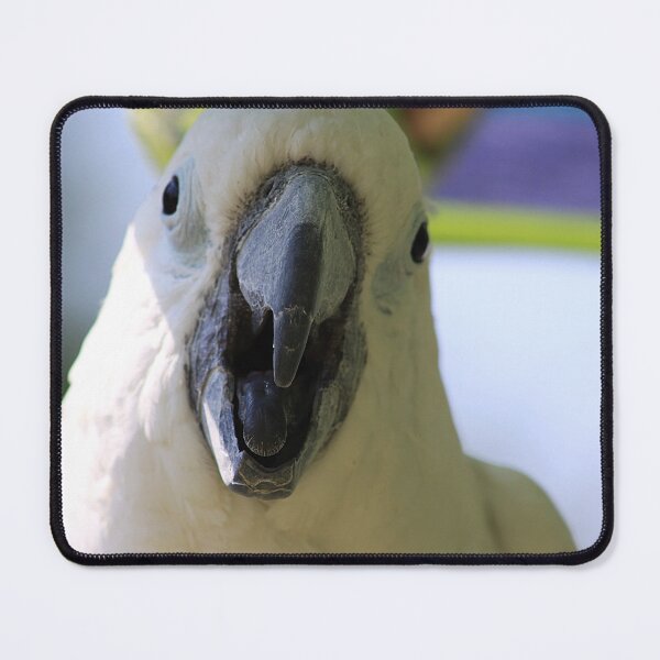 Item preview, White Parrot designed and sold by Alyce Taylor.