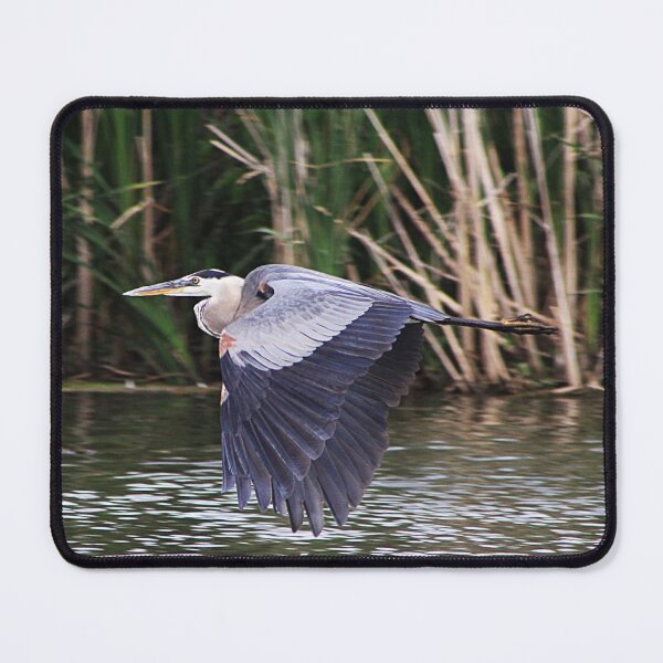Item preview, Great Blue Heron designed and sold by Alyce Taylor.