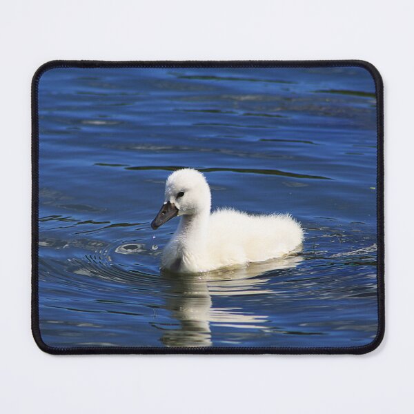 Item preview, Cygnet designed and sold by Alyce Taylor.