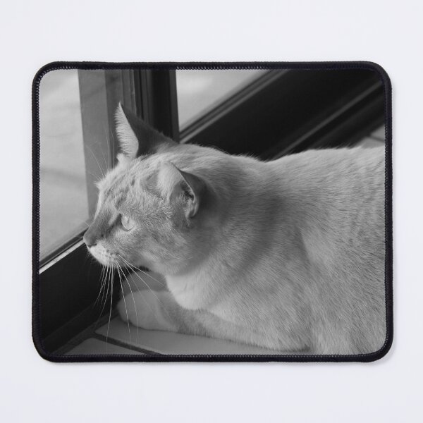 Item preview, Red Point Siamese Cat Window Hunting BW designed and sold by Elisabeth Lucas.