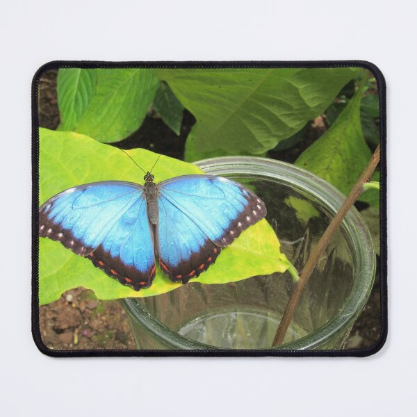 Item preview, Blue Morpho designed and sold by brittanyelaine.