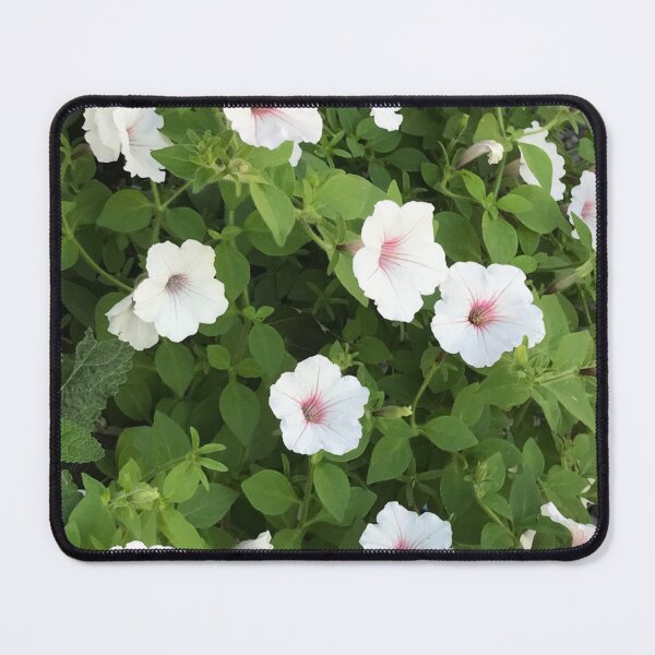 Item preview, White Petunias designed and sold by ShirleyDee.