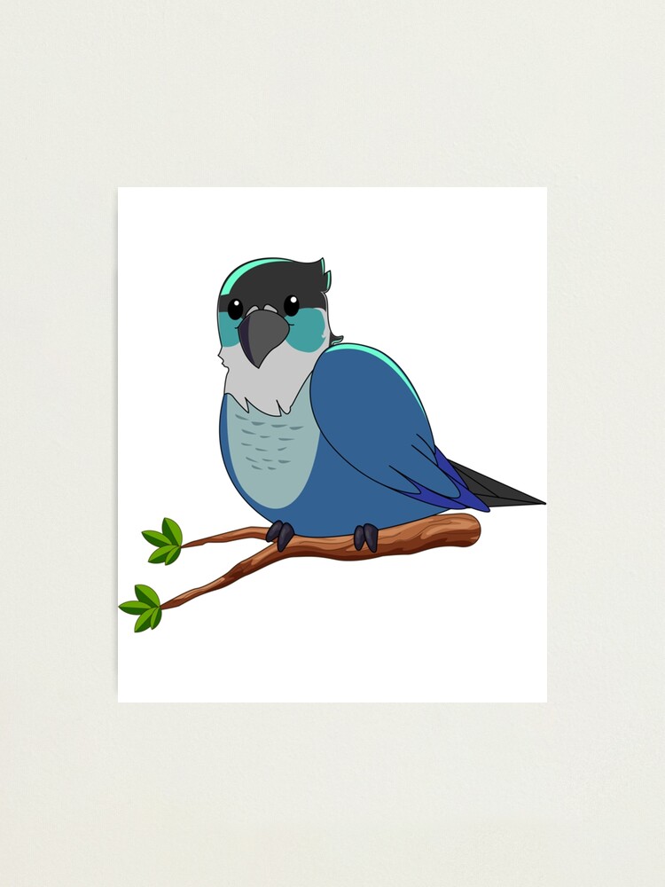 Jaiden animation's bird ari