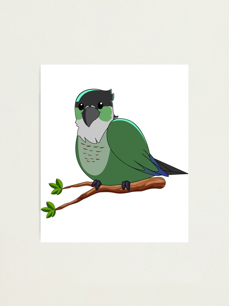 Jaiden animations green cute bird on a leaf, parrot watching you funny |  Photographic Print