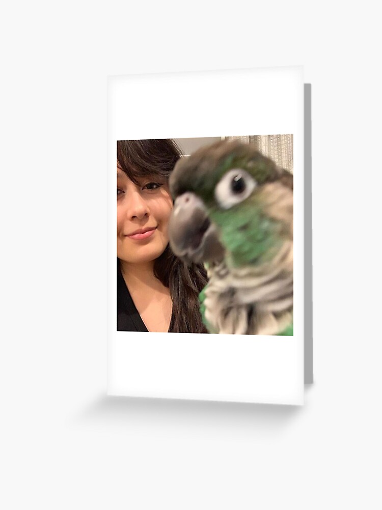 Jaiden animations green cute bird on a leaf, parrot watching you funny   Greeting Card for Sale by SGS