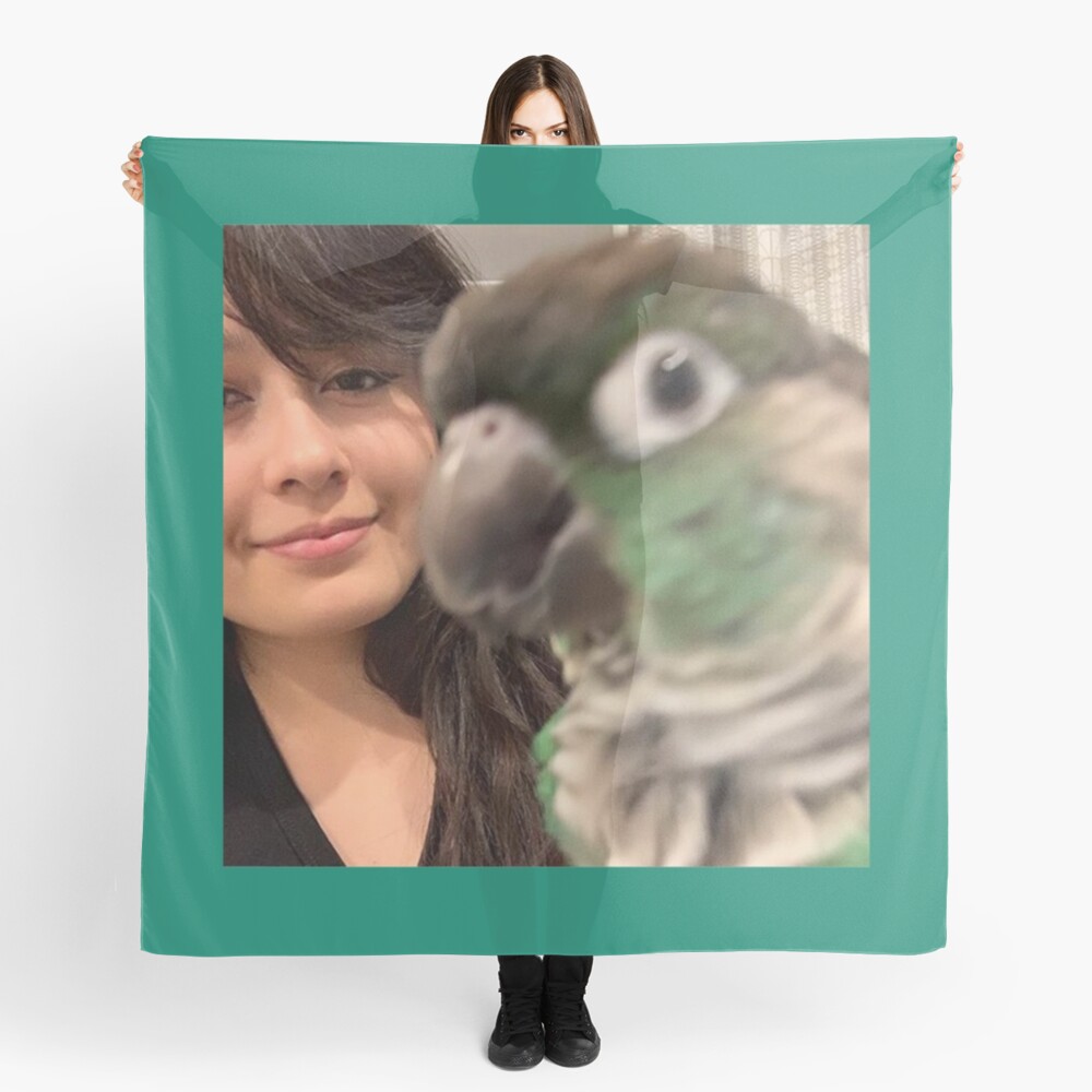 Jaiden animations green cute bird on a leaf, parrot watching you funny   Sticker for Sale by SGS