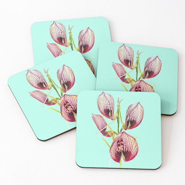 Item preview, Bonnet Orchid designed and sold by Anne-Maree Hunter.