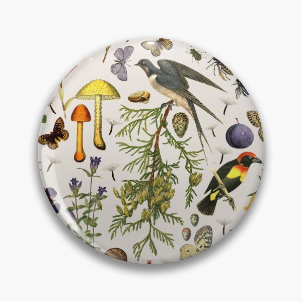 Item preview, Biology of America USA  designed and sold by Leo Rolph.