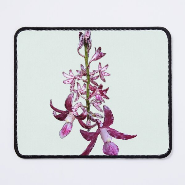 Item preview, Hyacinth Orchid designed and sold by Anne-Maree Hunter.