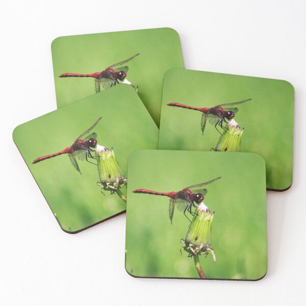 Item preview, Dragonfly designed and sold by Alyce Taylor.