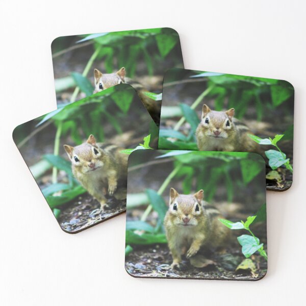 Item preview, Squirrel! designed and sold by Alyce Taylor.