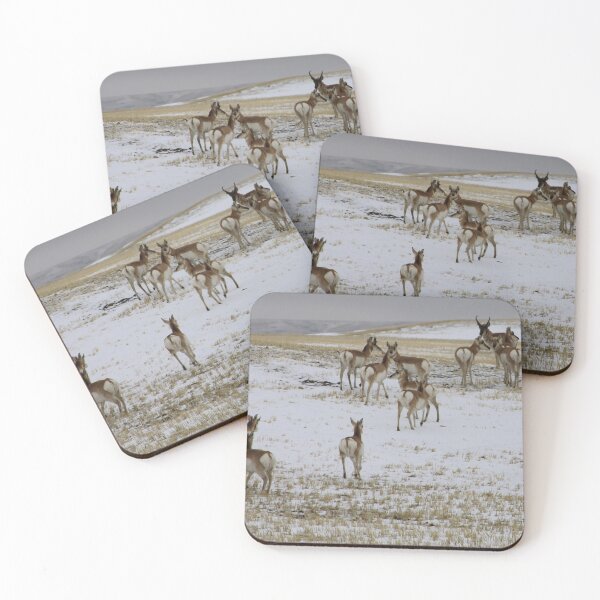 Item preview, Pronghorns! designed and sold by Alyce Taylor.