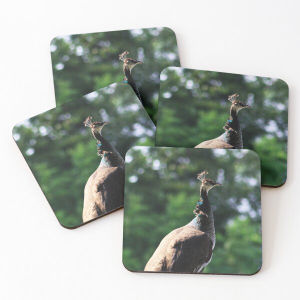 Item preview, Regal designed and sold by Alyce Taylor.