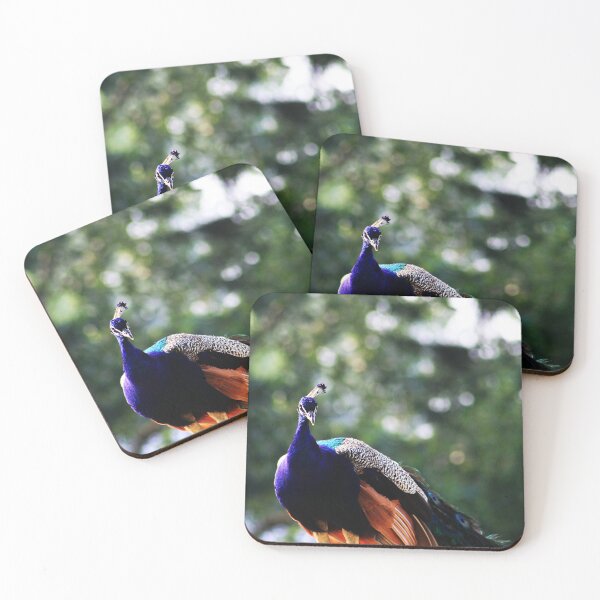 Item preview, Colourful designed and sold by Alyce Taylor.