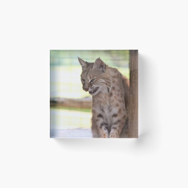 Item preview, Snarly designed and sold by Alyce Taylor.