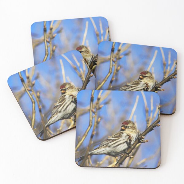 Item preview, Common Redpoll Female designed and sold by Alyce Taylor.