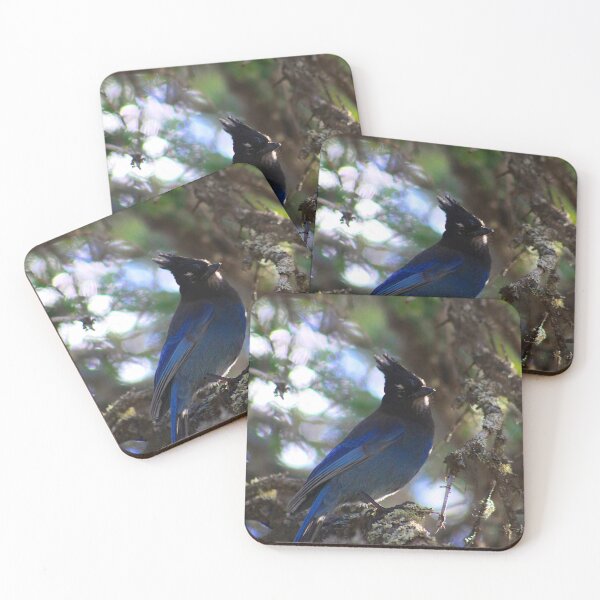 Item preview, Stellar Jay designed and sold by Alyce Taylor.