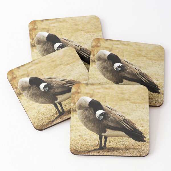 Item preview, A Different Angle designed and sold by Alyce Taylor.