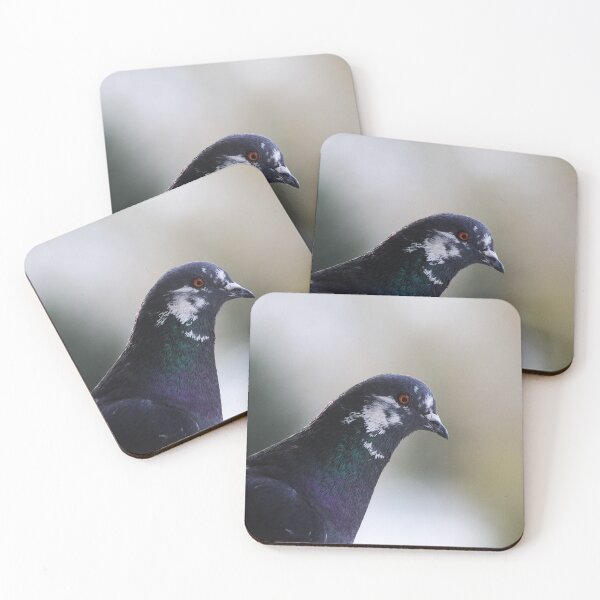 Item preview, Rock Pigeon designed and sold by Alyce Taylor.