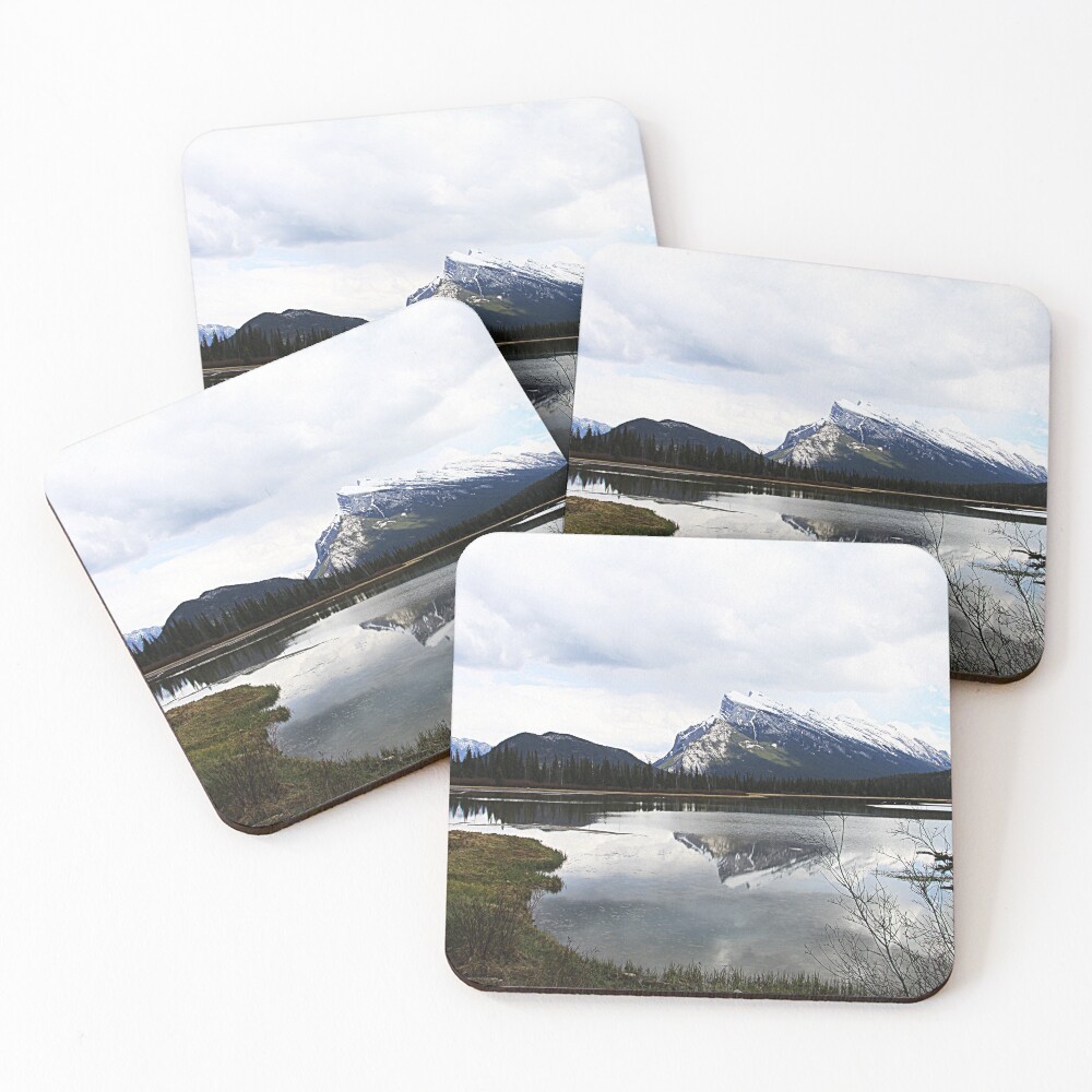 Item preview, Coasters (Set of 4) designed and sold by alycetaylor.