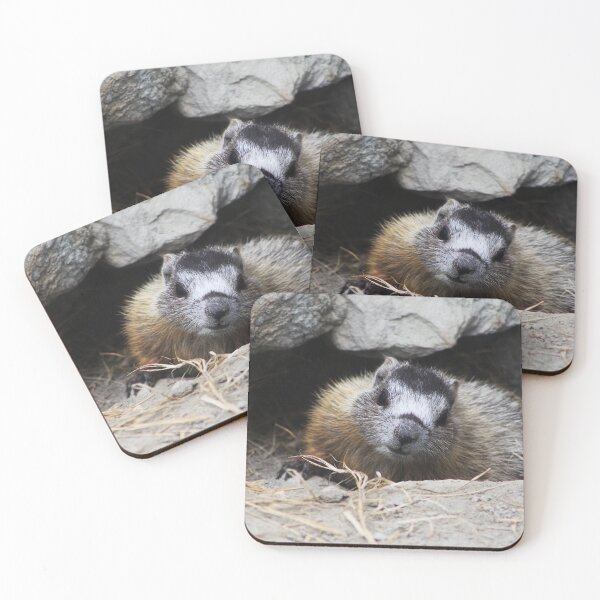 Item preview, Baby Marmot designed and sold by Alyce Taylor.