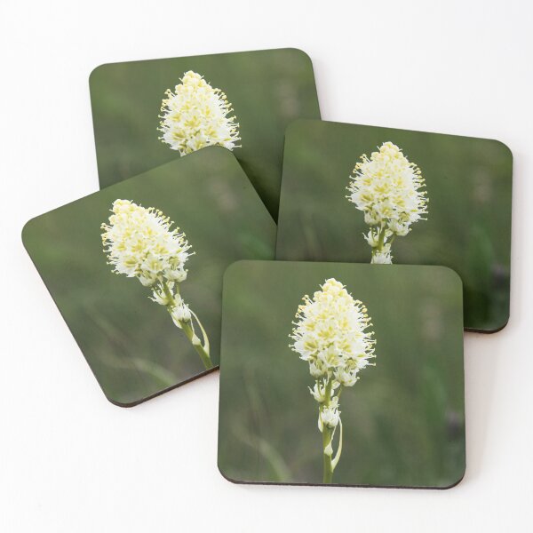 Item preview, Baby Beargrass designed and sold by Alyce Taylor.