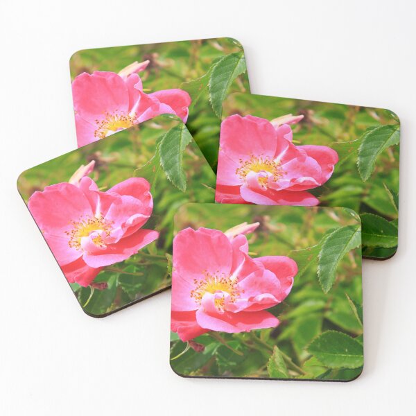 Item preview, Wild Rose designed and sold by Alyce Taylor.