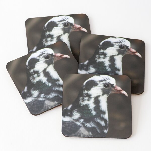 Item preview, Squab designed and sold by Alyce Taylor.