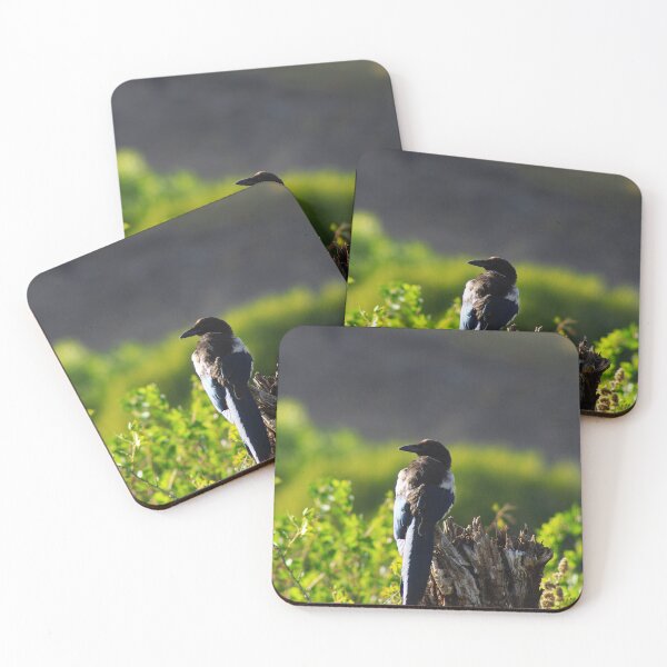 Item preview, Magpie in the Park designed and sold by Alyce Taylor.